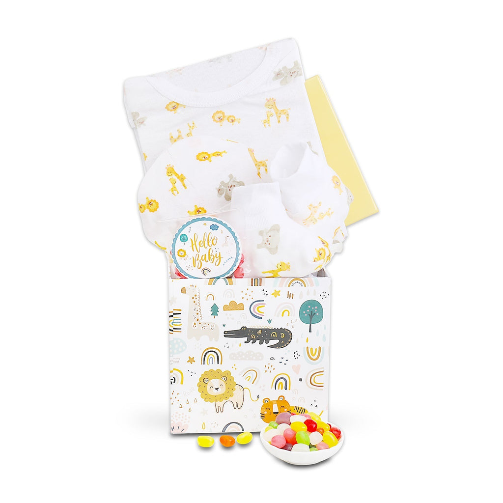 The Little Luxe Welcome Box Baby Gift Basket
